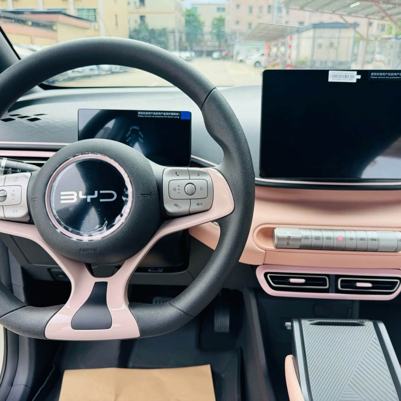 Seagull 2025 305km Vitality Edition Seagull 2025 305km Vitality Edition