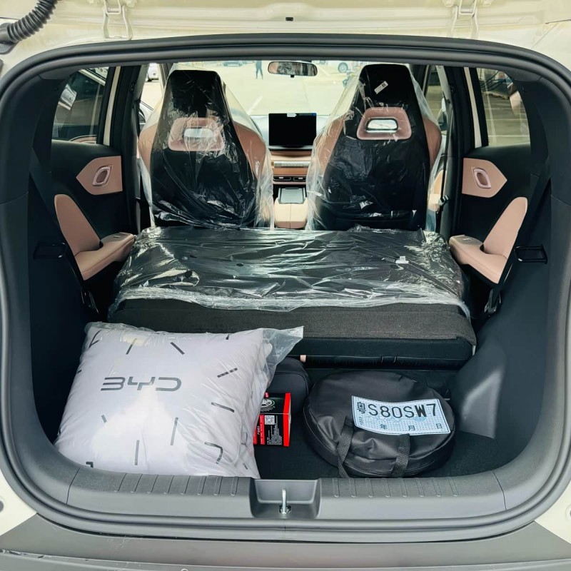 Seagull 2025 305km Vitality Edition Seagull 2025 305km Vitality Edition