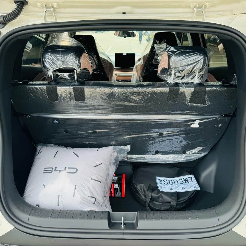 Seagull 2025 305km Vitality Edition Seagull 2025 305km Vitality Edition