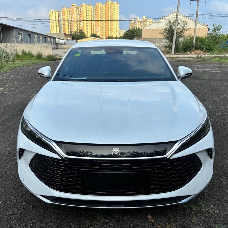 Qin L 2024 DM-i 80KM Beyond Edition Qin L 2024 DM-i 80KM Beyond Edition