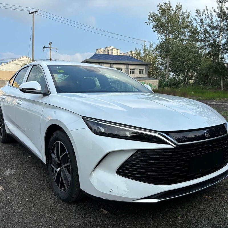 Qin L 2024 DM-i 80KM Beyond Edition Qin L 2024 DM-i 80KM Beyond Edition