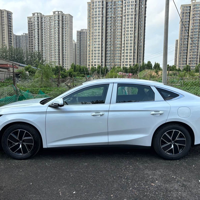 Qin L 2024 DM-i 80KM Beyond Edition Qin L 2024 DM-i 80KM Beyond Edition