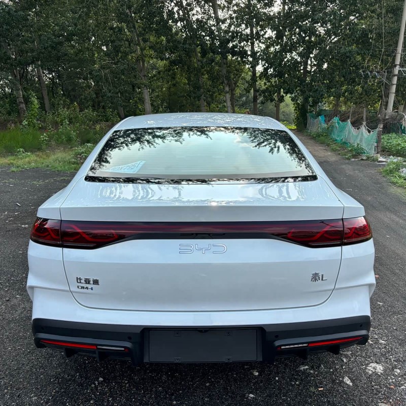 Qin L 2024 DM-i 80KM Beyond Edition Qin L 2024 DM-i 80KM Beyond Edition