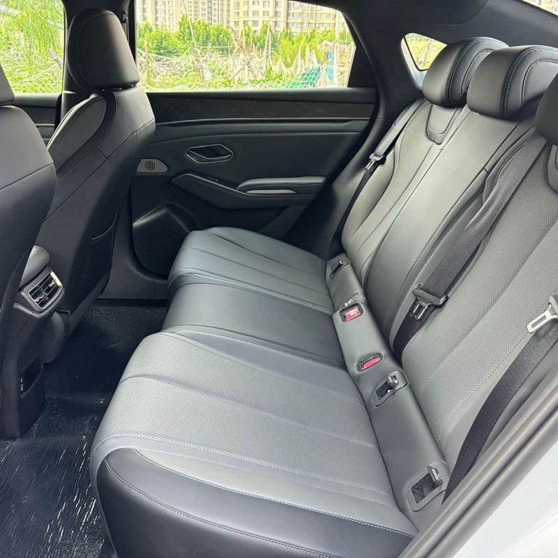 Qin L 2024 DM-i 80KM Beyond Edition Qin L 2024 DM-i 80KM Beyond Edition