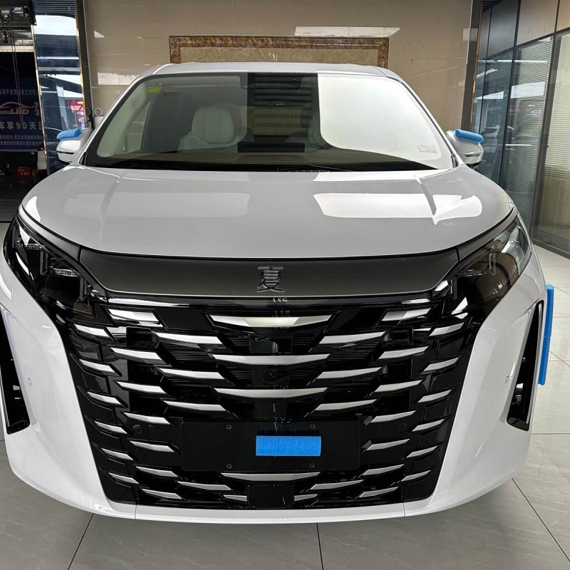 2025 DM-i 1.5T 100km Leading Edition 2025 DM-i 1.5T 100km Leading Edition