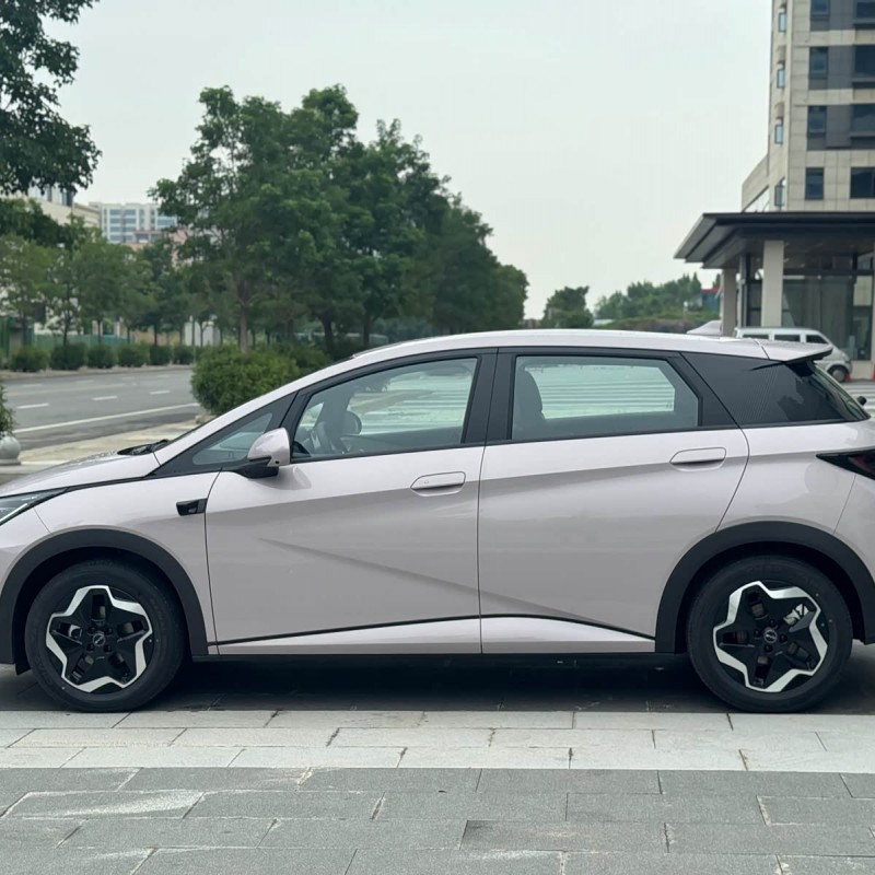 Dolphin 2025 Smart Driving Edition 420km Free Edition Dolphin 2025 Smart Driving Edition 420km Free Edition