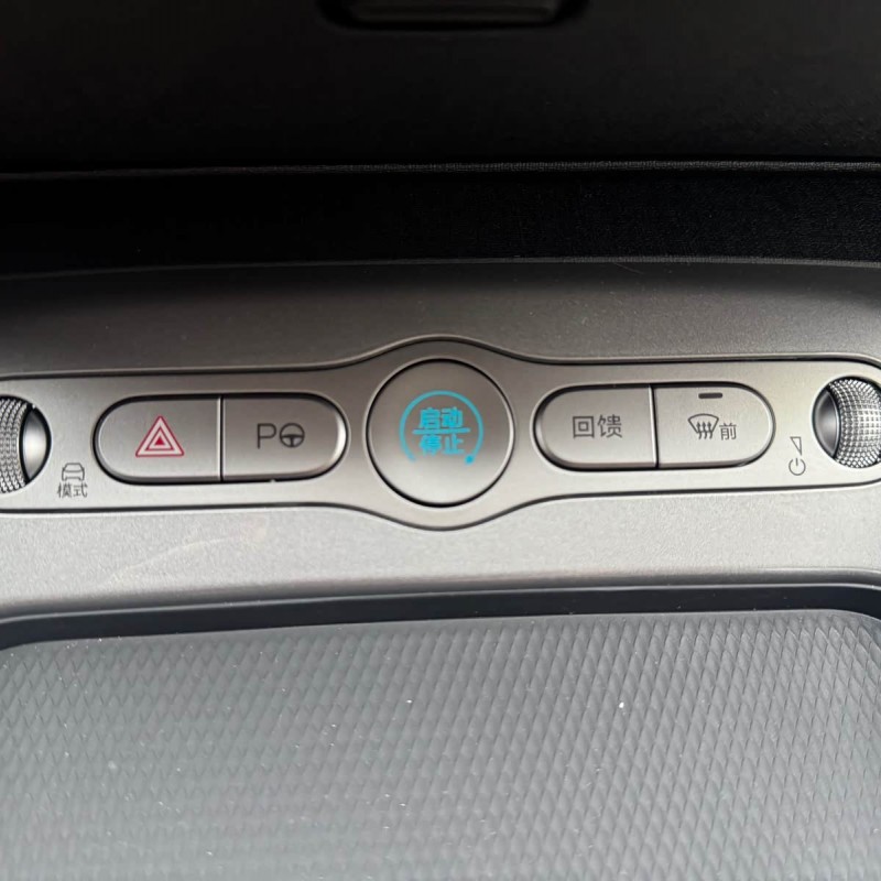 Dolphin 2025 Smart Driving Edition 420km Free Edition Dolphin 2025 Smart Driving Edition 420km Free Edition