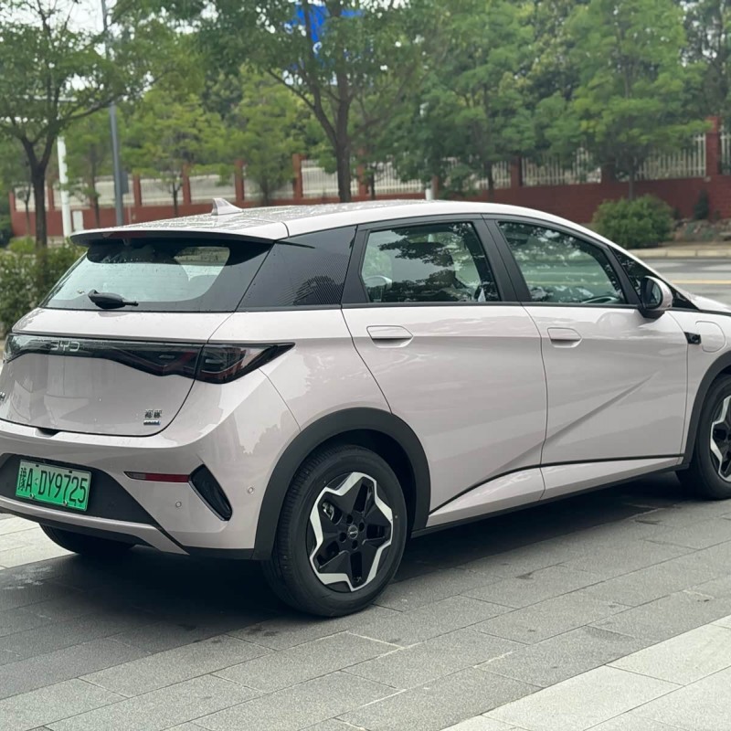 Dolphin 2025 Smart Driving Edition 420km Free Edition Dolphin 2025 Smart Driving Edition 420km Free Edition