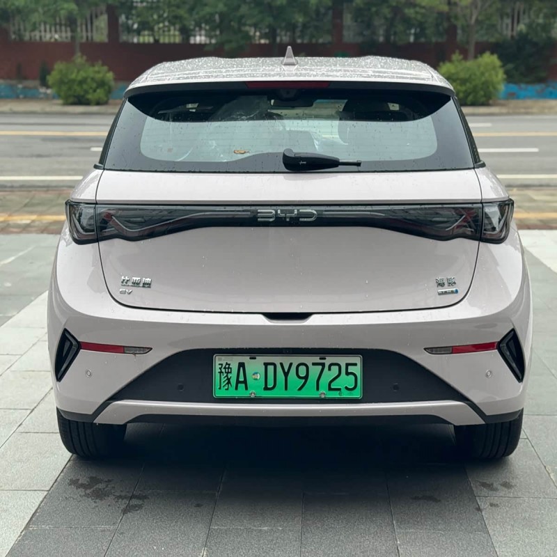 Dolphin 2025 Smart Driving Edition 420km Free Edition Dolphin 2025 Smart Driving Edition 420km Free Edition
