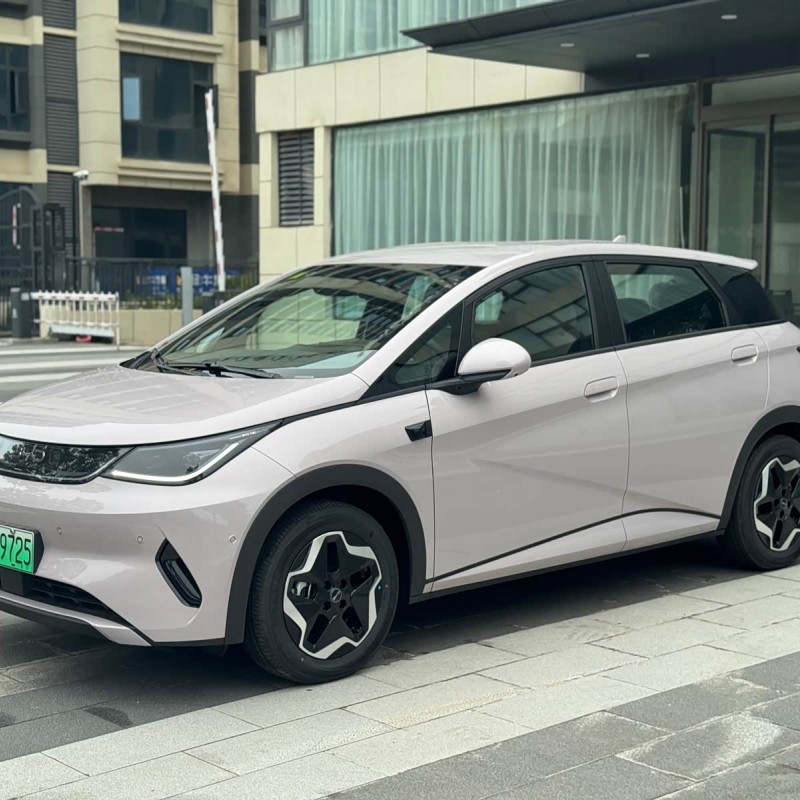 Dolphin 2025 Smart Driving Edition 420km Free Edition Dolphin 2025 Smart Driving Edition 420km Free Edition