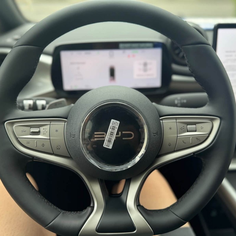 Dolphin 2025 Smart Driving Edition 420km Free Edition Dolphin 2025 Smart Driving Edition 420km Free Edition