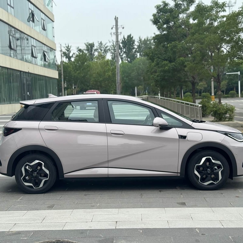 Dolphin 2025 Smart Driving Edition 420km Free Edition Dolphin 2025 Smart Driving Edition 420km Free Edition