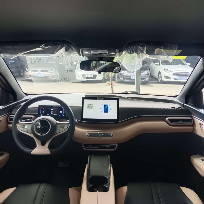 Seagull 2025 Smart Driving Edition 305km Vitality Edition Seagull 2025 Smart Driving Edition 305km Vitality Edition