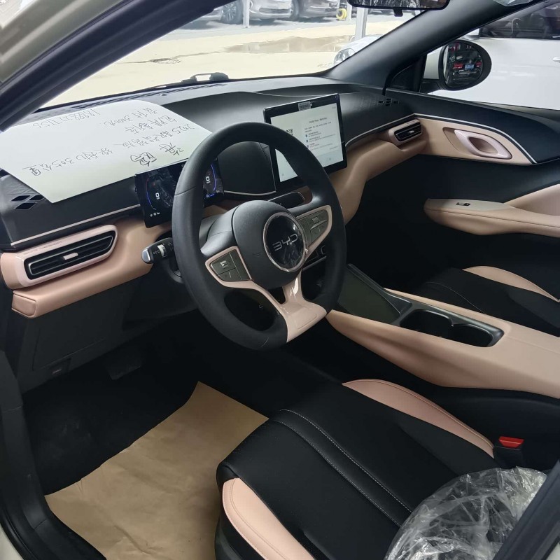 Seagull 2025 Smart Driving Edition 305km Vitality Edition Seagull 2025 Smart Driving Edition 305km Vitality Edition