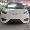 Seagull 2025 Smart Driving Edition 305km Vitality Edition