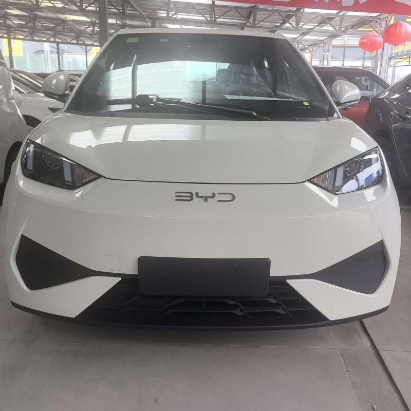 Seagull 2025 Smart Driving Edition 305km Vitality Edition Seagull 2025 Smart Driving Edition 305km Vitality Edition