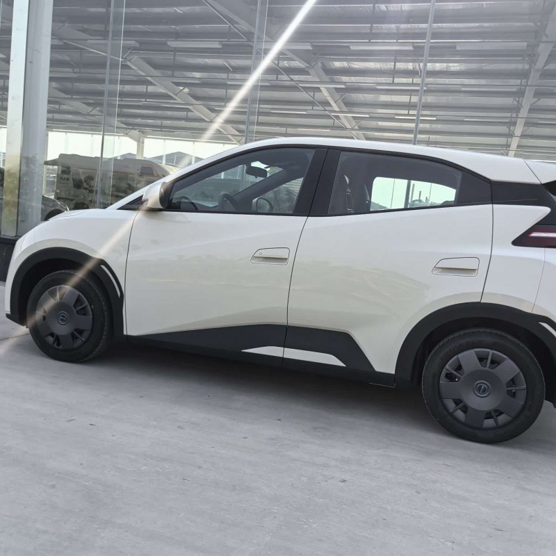 Seagull 2025 Smart Driving Edition 305km Vitality Edition Seagull 2025 Smart Driving Edition 305km Vitality Edition