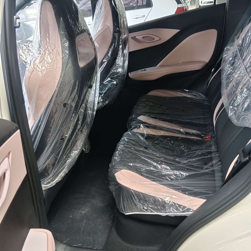Seagull 2025 Smart Driving Edition 305km Vitality Edition Seagull 2025 Smart Driving Edition 305km Vitality Edition