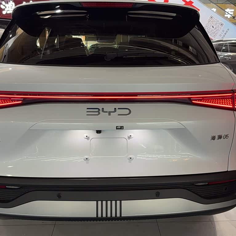 Sea Lion 05 DM-i 2025 DM-i 115KM Flagship Model Sea Lion 05 DM-i 2025 DM-i 115KM Flagship Model