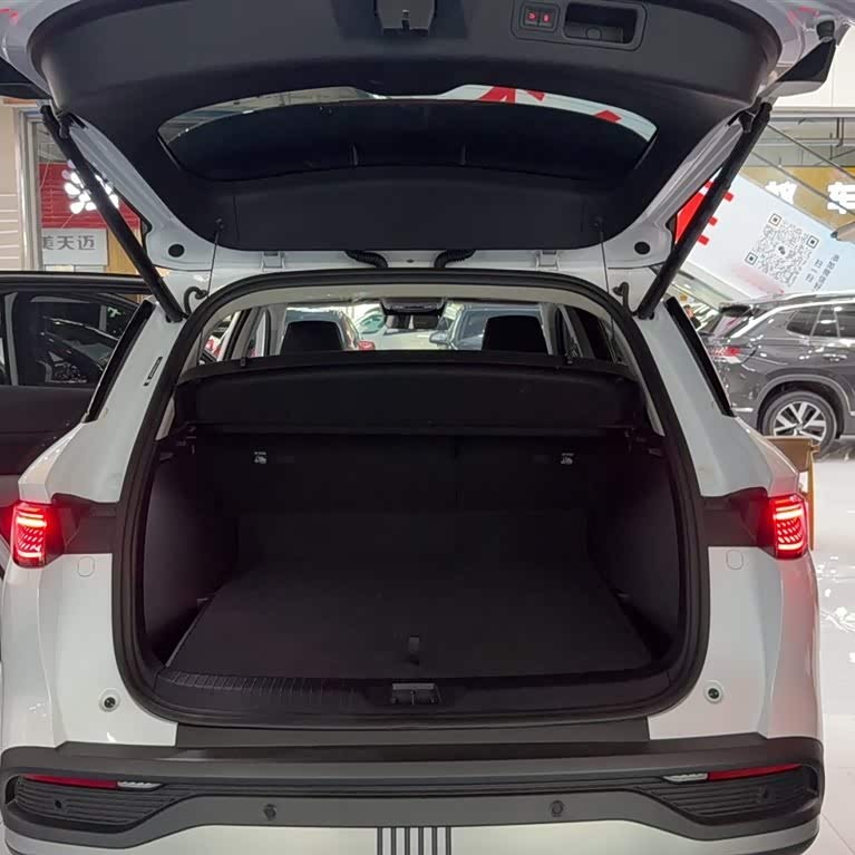 Sea Lion 05 DM-i 2025 DM-i 115KM Flagship Model Sea Lion 05 DM-i 2025 DM-i 115KM Flagship Model