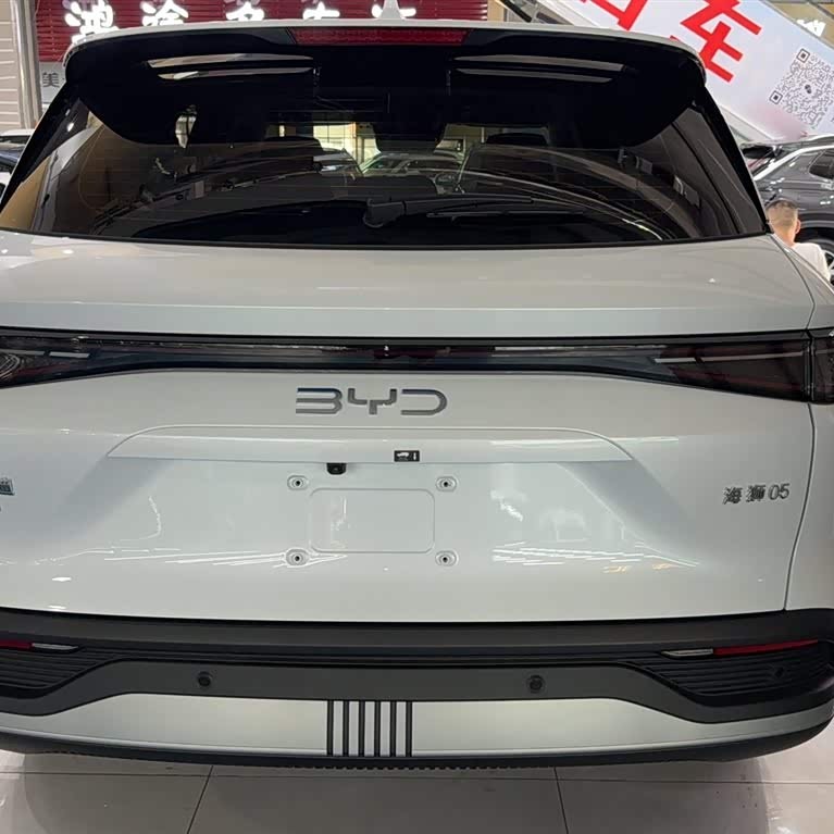 Sea Lion 05 DM-i 2025 DM-i 115KM Flagship Model Sea Lion 05 DM-i 2025 DM-i 115KM Flagship Model