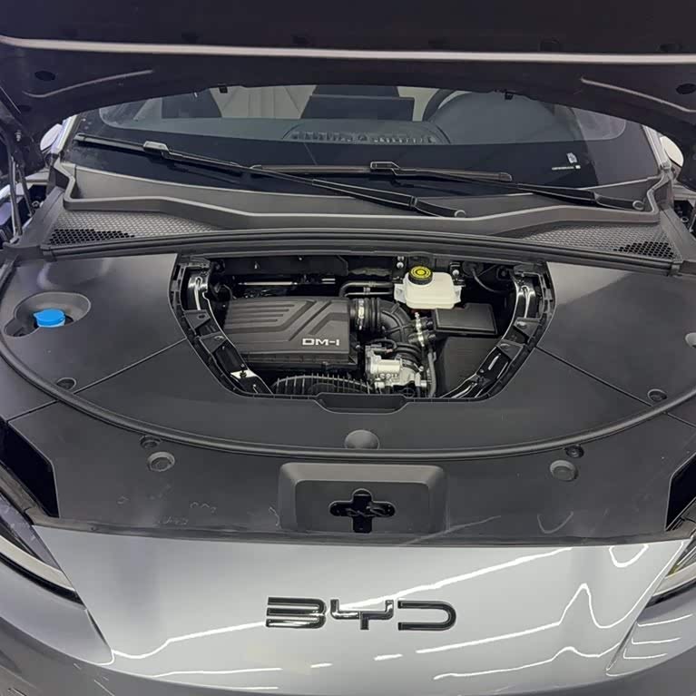 Song PLUS New Energy 2024 Honor Edition DM-i 71km Luxury Model Song PLUS New Energy 2024 Honor Edition DM-i 71km Luxury Model
