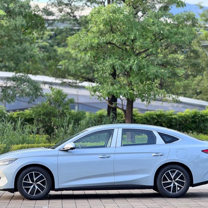 Qin L 2024 DM-i 80KM Beyond Edition Qin L 2024 DM-i 80KM Beyond Edition