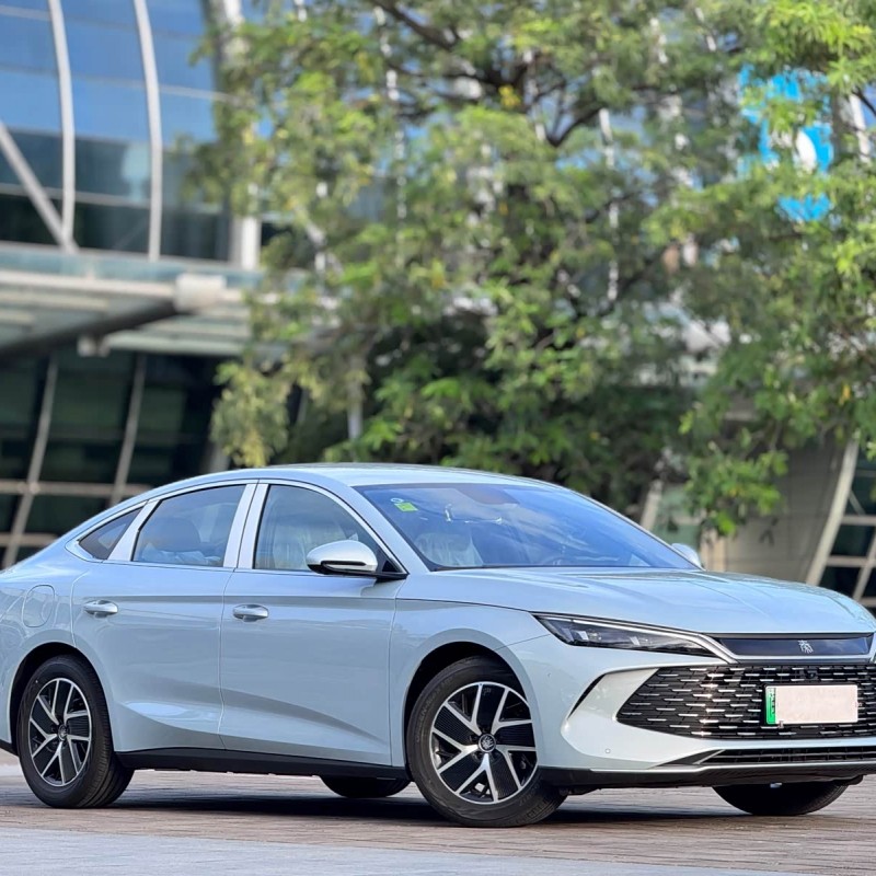 Qin L 2024 DM-i 80KM Beyond Edition Qin L 2024 DM-i 80KM Beyond Edition
