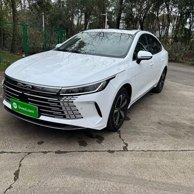 Destroyer 05 2024 Glory Edition DM-i 120KM Flagship Model Destroyer 05 2024 Glory Edition DM-i 120KM Flagship Model