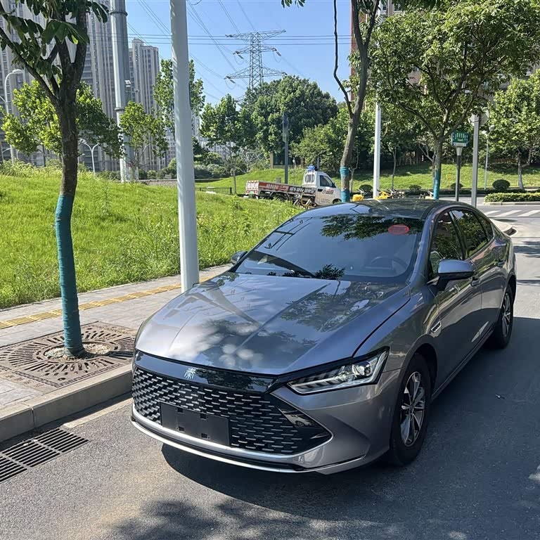 Qin PLUS 2024 Honor Edition DM-i 55KM Leading Edition