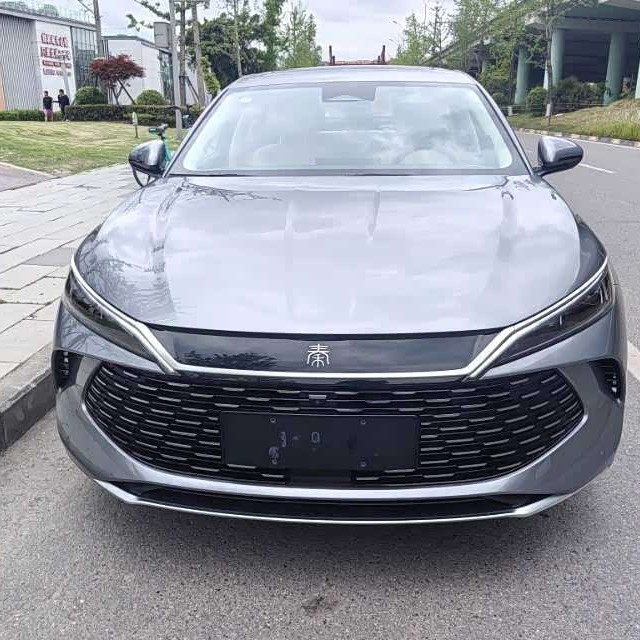 Qin L 2024 DM-i 120KM Beyond Edition Qin L 2024 DM-i 120KM Beyond Edition