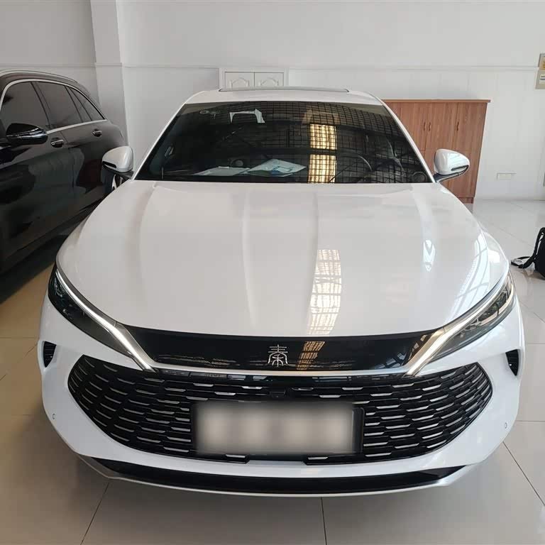 Qin L 2024 DM-i 120KM Beyond Edition Qin L 2024 DM-i 120KM Beyond Edition