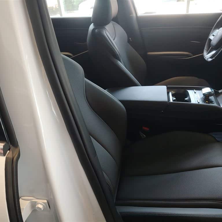 Qin L 2024 DM-i 120KM Beyond Edition Qin L 2024 DM-i 120KM Beyond Edition