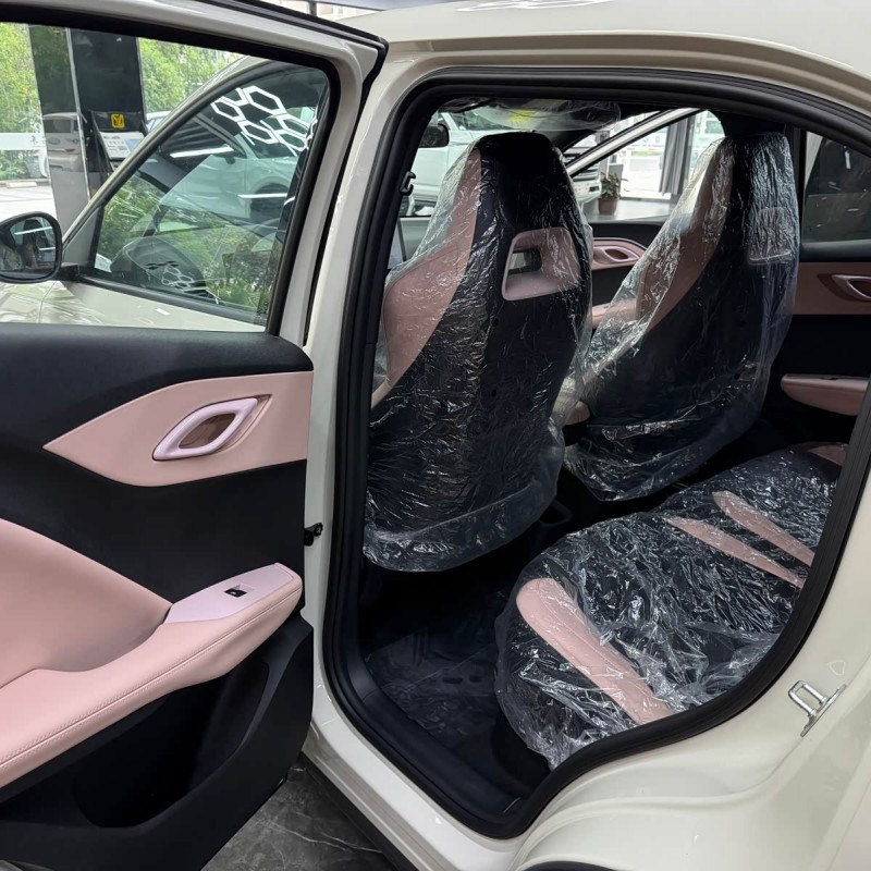 Seagull 2025 Smart Driving Edition 305km Free Edition Seagull 2025 Smart Driving Edition 305km Free Edition