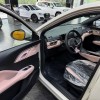 Seagull 2025 Smart Driving Edition 305km Free Edition