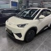 Seagull 2025 Smart Driving Edition 305km Free Edition