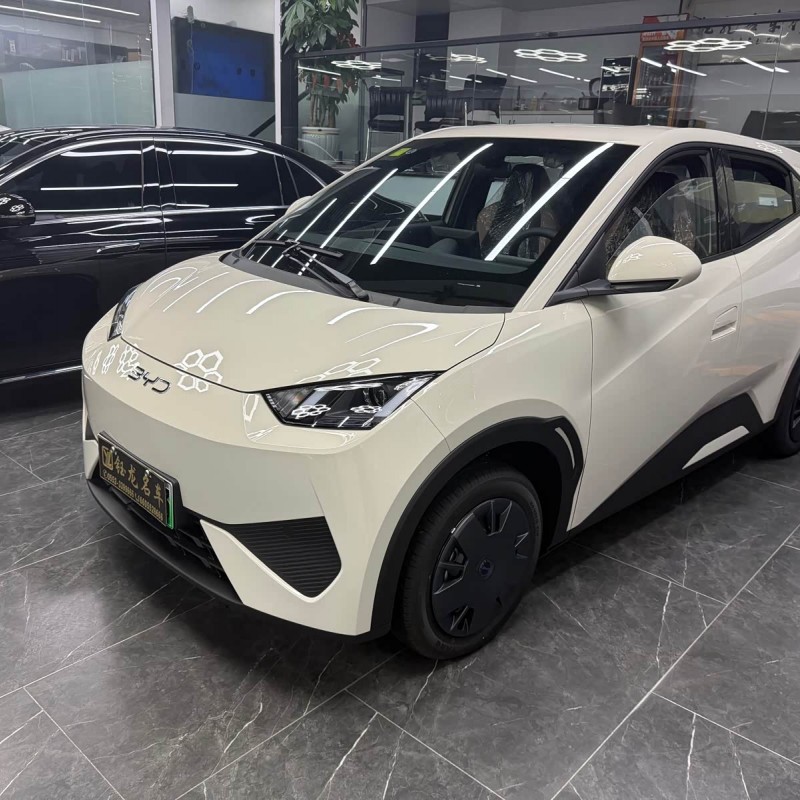 Seagull 2025 Smart Driving Edition 305km Free Edition