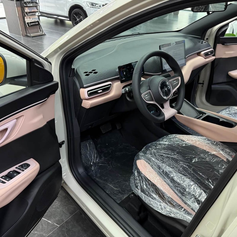 Seagull 2025 Smart Driving Edition 305km Free Edition Seagull 2025 Smart Driving Edition 305km Free Edition