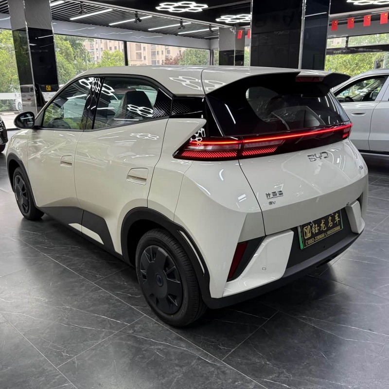 Seagull 2025 Smart Driving Edition 305km Free Edition Seagull 2025 Smart Driving Edition 305km Free Edition