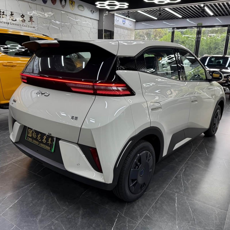 Seagull 2025 Smart Driving Edition 305km Free Edition Seagull 2025 Smart Driving Edition 305km Free Edition