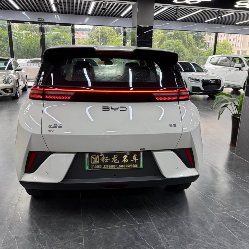 Seagull 2025 Smart Driving Edition 305km Free Edition Seagull 2025 Smart Driving Edition 305km Free Edition