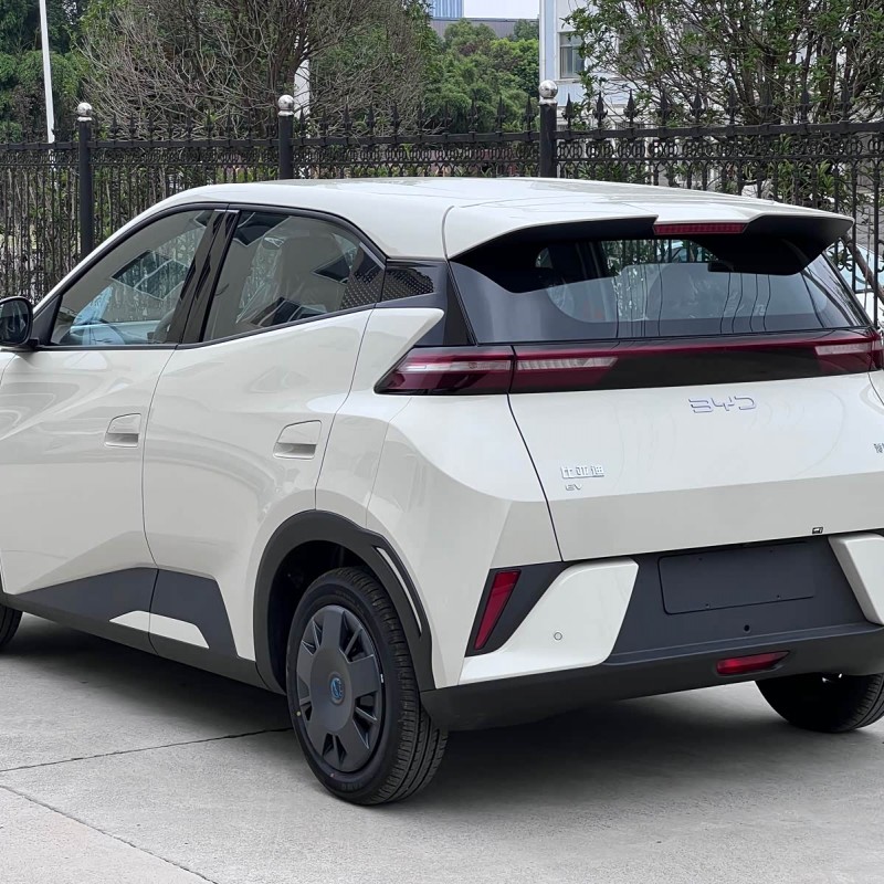 Seagull 2025 Smart Driving Edition 305km Vitality Edition Seagull 2025 Smart Driving Edition 305km Vitality Edition
