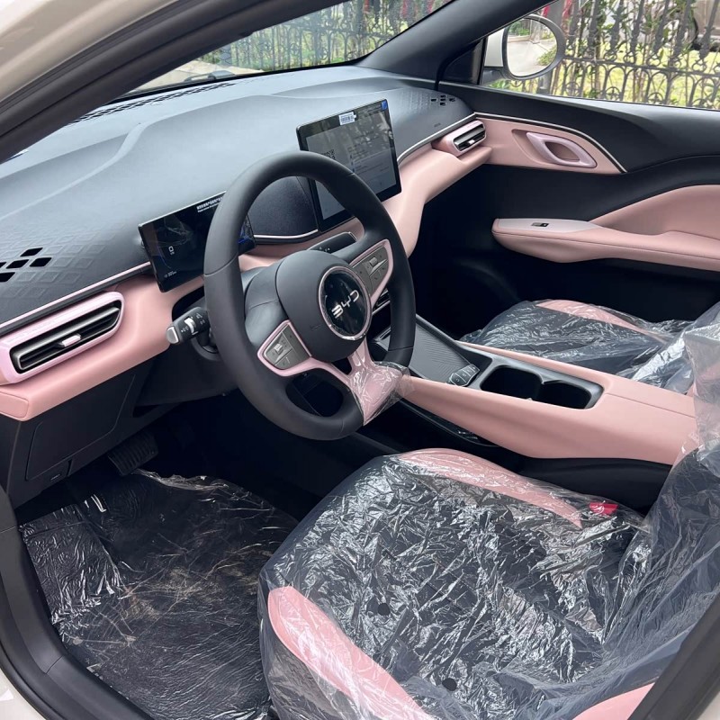 Seagull 2025 Smart Driving Edition 305km Vitality Edition Seagull 2025 Smart Driving Edition 305km Vitality Edition