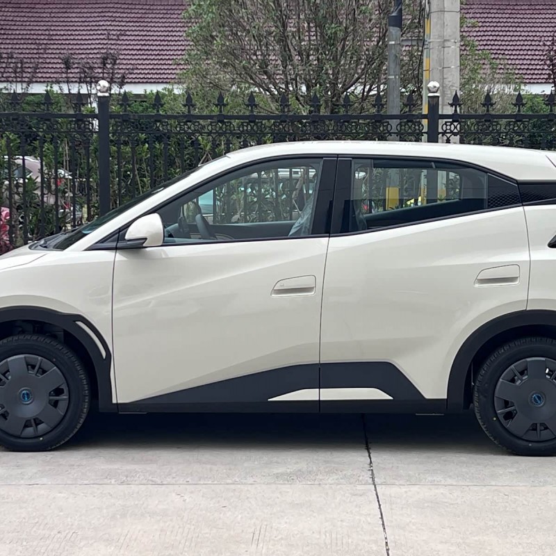 Seagull 2025 Smart Driving Edition 305km Vitality Edition Seagull 2025 Smart Driving Edition 305km Vitality Edition