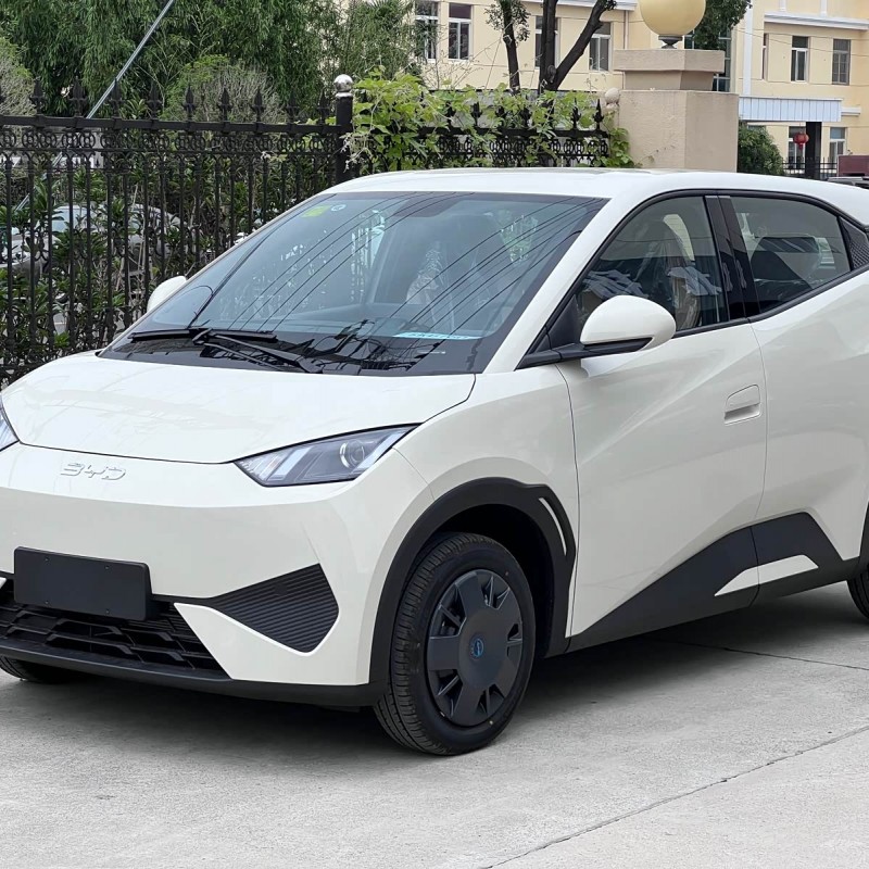 Seagull 2025 Smart Driving Edition 305km Vitality Edition