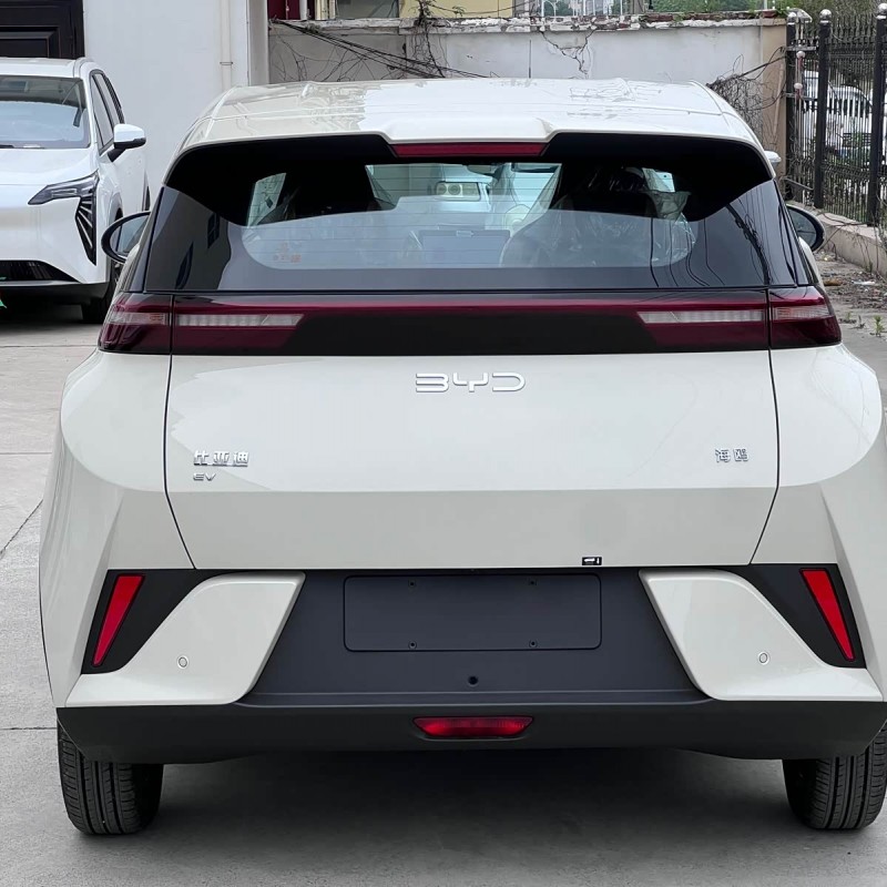 Seagull 2025 Smart Driving Edition 305km Vitality Edition Seagull 2025 Smart Driving Edition 305km Vitality Edition