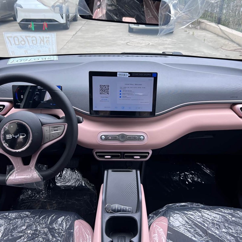 Seagull 2025 Smart Driving Edition 305km Vitality Edition Seagull 2025 Smart Driving Edition 305km Vitality Edition