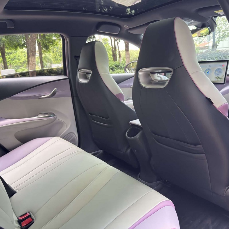 Dolphin 2021 405km Fashion Edition Dolphin 2021 405km Fashion Edition