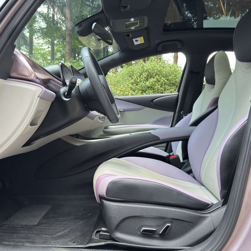 Dolphin 2021 405km Fashion Edition Dolphin 2021 405km Fashion Edition