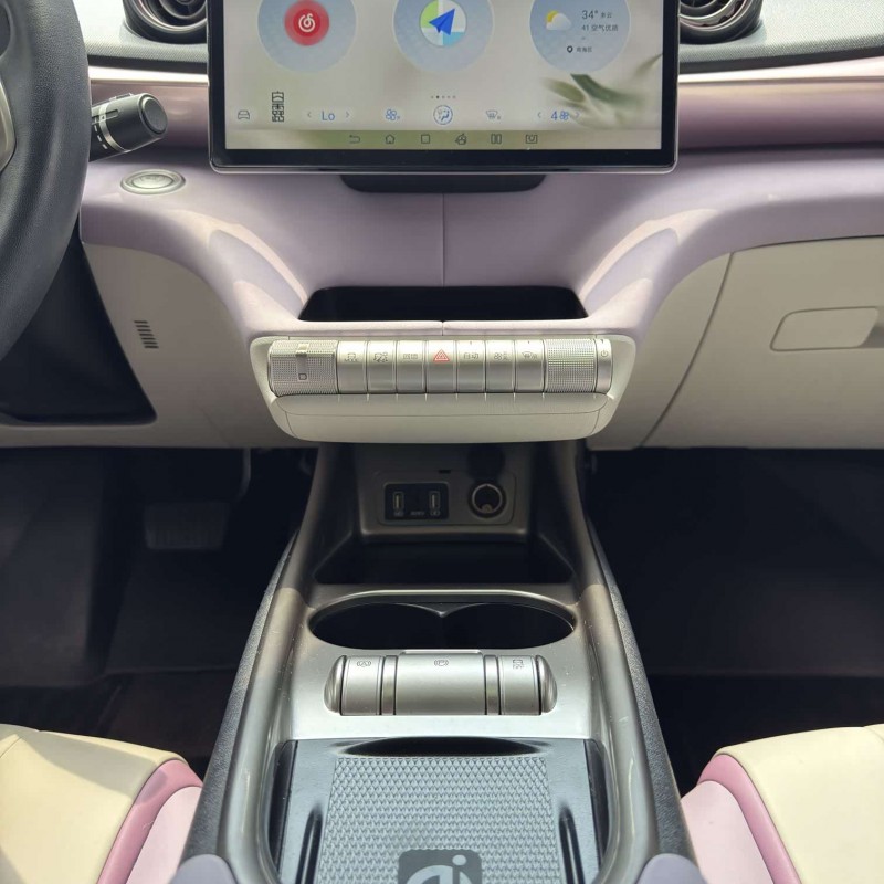 Dolphin 2021 405km Fashion Edition Dolphin 2021 405km Fashion Edition